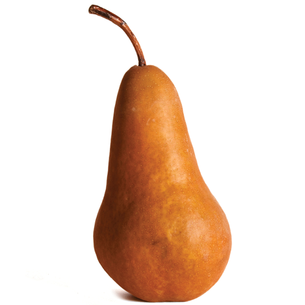 Organic Bosc Pears