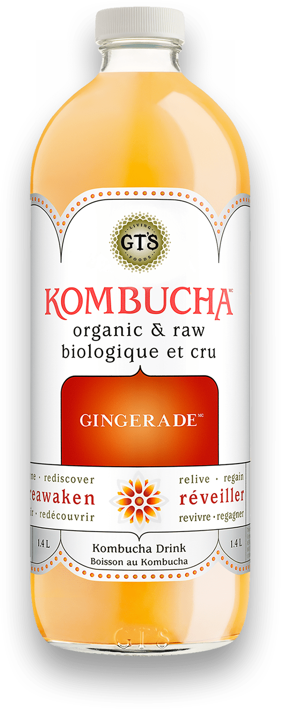 Organic Raw Gingerade Kombucha