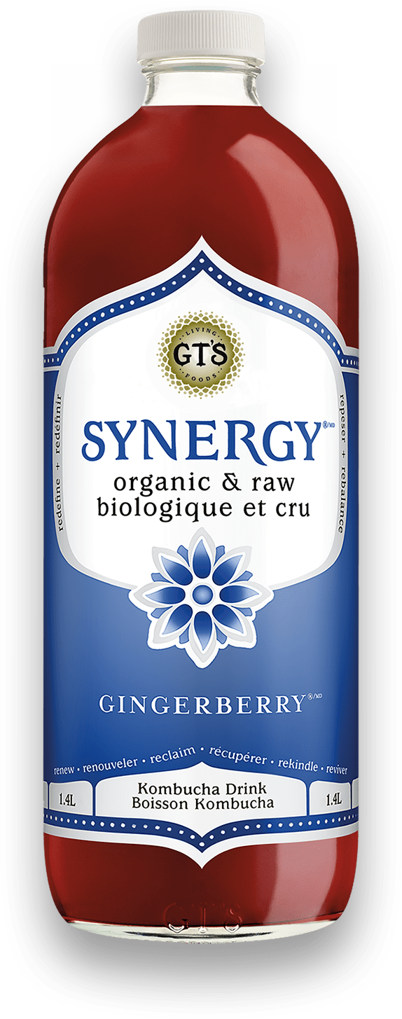 Gingerberry Kombucha