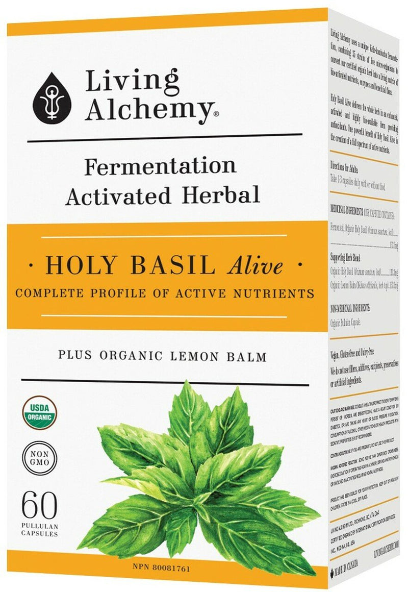 Holy Basil Alive