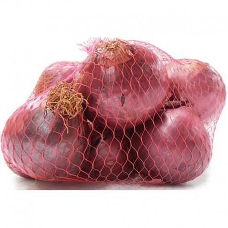 Organic Red Onions Bag