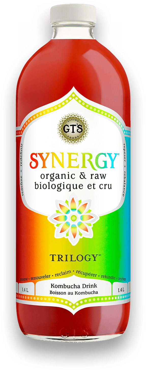 Organic Raw Trilogy Kombucha