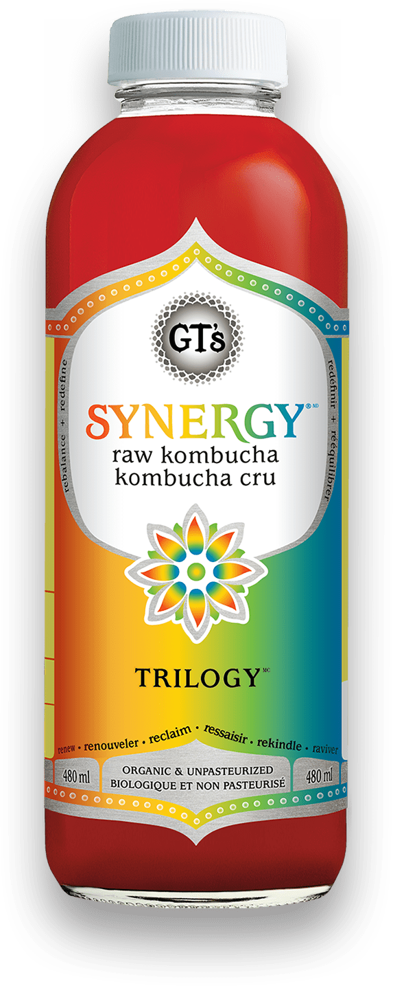 Organic Raw Trilogy Kombucha