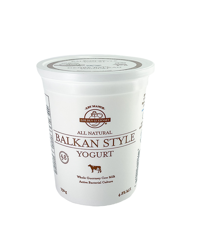 Balkan Style Yogurt